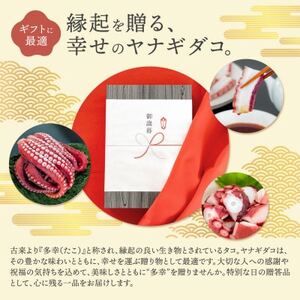 (無地熨斗付き)ヤナギダコ500g【産地直送】プリプリ食感!釧路町昆布森産 噛むたびに広がる多幸の旨【配送不可地域：離島】【1624427】
