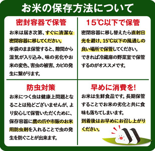 n359 期間限定 コシヒカリ 5kg 国産 鹿児島県産 種子島 こしひかり 米 お米 白米 【なかたね農産】