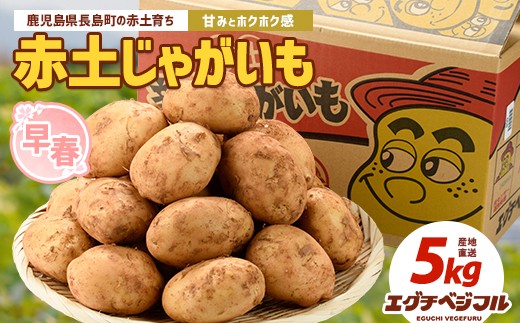 
                  【先行予約】早春長島のジャガイモ(5kg)【エグチベジフル株式会社】 eguchi-1684
                