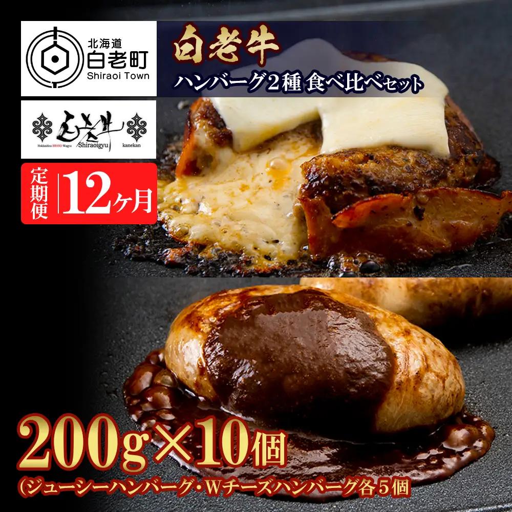 定期便12カ月 お楽しみ 白老牛 2種 食べ比べ ハンバーグ セット 合計10個 BY108