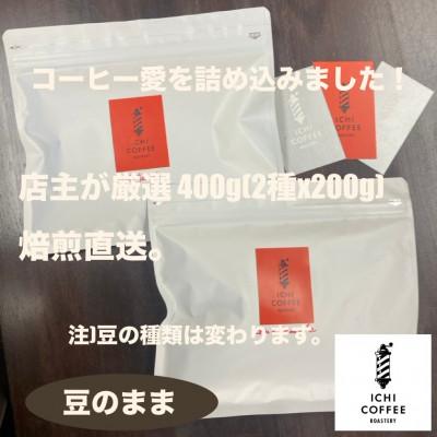 ふるさと納税 掛川市 【新鮮直送】店主が厳選スペシャルティコーヒー計400g(200g×2種) 自家焙煎珈琲 豆のまま