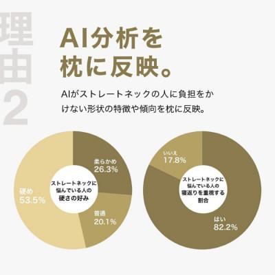 ふるさと納税 我孫子市 ストレートネックに悩む人向け枕 THE PILLOW Preset 03 Straight Neck |  | 02