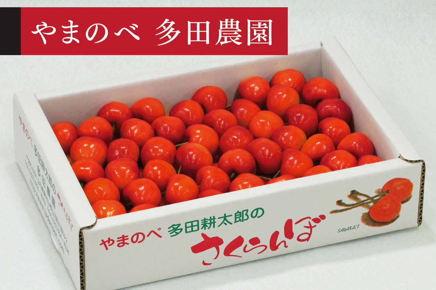 【ふるさと納税】 《先行予約》2026年 山形県産 紅秀峰 バラ詰め 約700g L~2Lサイズ以上 やまのべ多田耕太郎のさくらんぼ サクランボ tn-bsxlb700