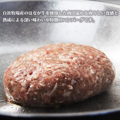 ふるさと納税 西予市 はなが牛100%ハンバーグ |  | 01