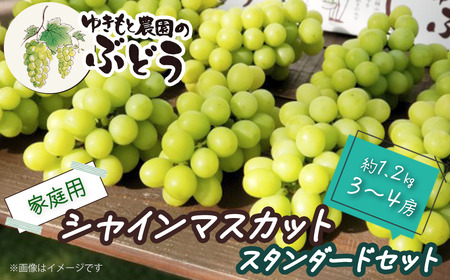 ゆきもと農園 ＜家庭用＞ シャインマスカット スタンダードセット 約1.2㎏ 3～4房　2025年8月中旬～9月発送