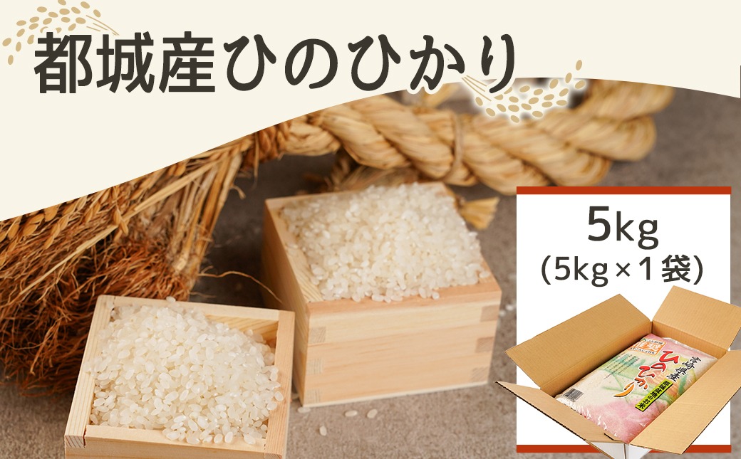 みやこんじょ育ち都城産ひのひかり5kg≪みやこんじょ特急便≫_21-K701-Q