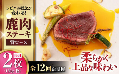 【全12回定期便】鹿肉 背ロース 2枚  ジビエ 赤身 冷凍配送 [AJAO070]