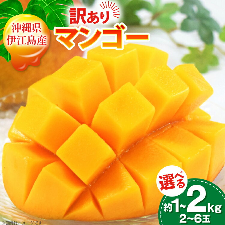 【ふるさと納税】 【期間限定発送】 訳あり マンゴー アーウィン種 2026年 選べる内容量 2〜3玉 約 1kg or 4〜6玉 約 2kg [マンゴー部会 沖縄県 伊江村 ie47bde320007] 沖縄 フルーツ 果物 甘い 夏 濃厚 Mango 果実 くだもの 訳アリ 2026