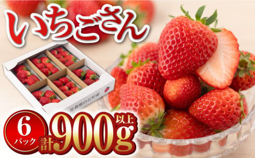 【先行予約】【産地直送】白石産いちご「いちごさん」 約150g×6パック（計900g以上）【道の駅しろいしカンパニー】/いちご イチゴ アフターフォロー付 苺 佐賀県産いちご  [IAA022]