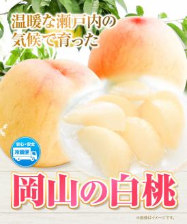 【先行予約】白桃 岡山 6玉 ウィズフラワーホールディングス《7月上旬-9月上旬頃出荷》桃 もも フルーツ 旬 果物【配送不可地域あり】 ---124_c389_7j9j_23_27000_6---