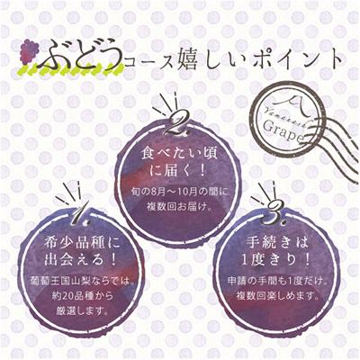 ふるさと納税 山梨市 【発送月固定定期便】葡萄好きさん、集まれ〜!人気のフルーツぶどうの定期便全3回 |  | 02