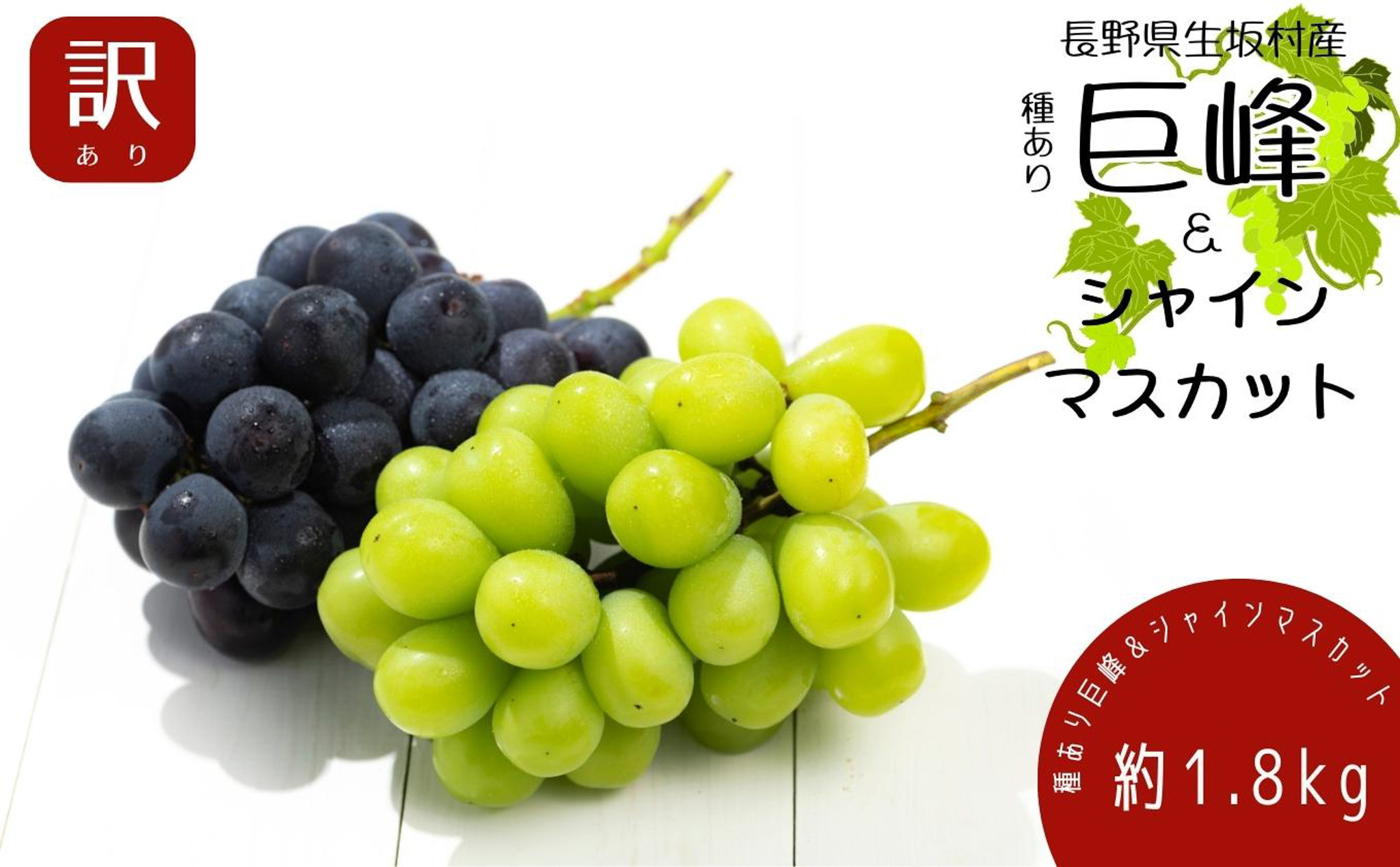 
                  【2026年先行予約】 訳あり 種あり巨峰 ＆ シャインマスカット 約1.8kg （4~6房） ぶどう 食べ比べ 信州直送 | 長野県産 種有り きょほう ブドウ 種無し 葡萄 | 令和8年9月上旬～10月中旬頃順次発送予定 | 長野県 生坂村 [株式会社野の香]
                