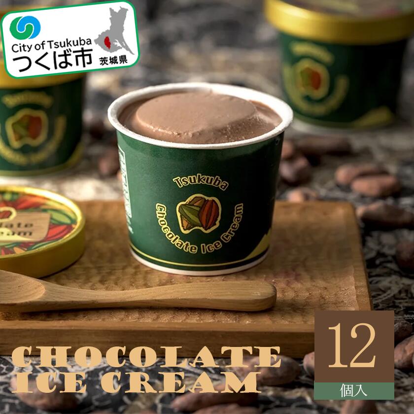 【ふるさと納税】チョコレートアイスクリーム 122ml×12個 | 茨城県 つくば市 チョコ チョコレート アイス アイスクリーム チョコアイス カカオ お取寄せ スイーツ グルメ ご褒美 インドネシア フェアトレード デザート 贅沢 濃厚 人気 1307887