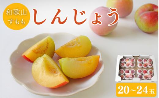 ＜先行予約＞すもも（しんじょう）4パック ※2027年6月中旬～6月下旬頃に順次発送予定【期間限定・数量限定】 / スモモ プラム 冷蔵 季節限定 お取り寄せ 産地直送 贈答品 ギフト 果物 フルーツ 田辺市 和歌山県【ymh010-1】