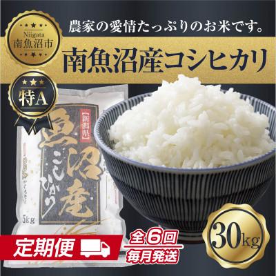 ふるさと納税 南魚沼市 【毎月定期便】南魚沼産 コシヒカリ 精米 30kg(美味しい炊き方ガイド付)全6回