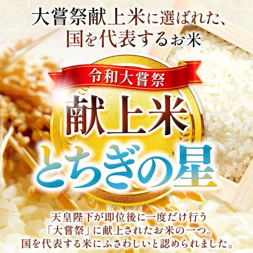 【定期便3回】栃木県産 とちぎの星 玄米 10kg 2026年 先行予約 新米 | 栃木県 矢板市
