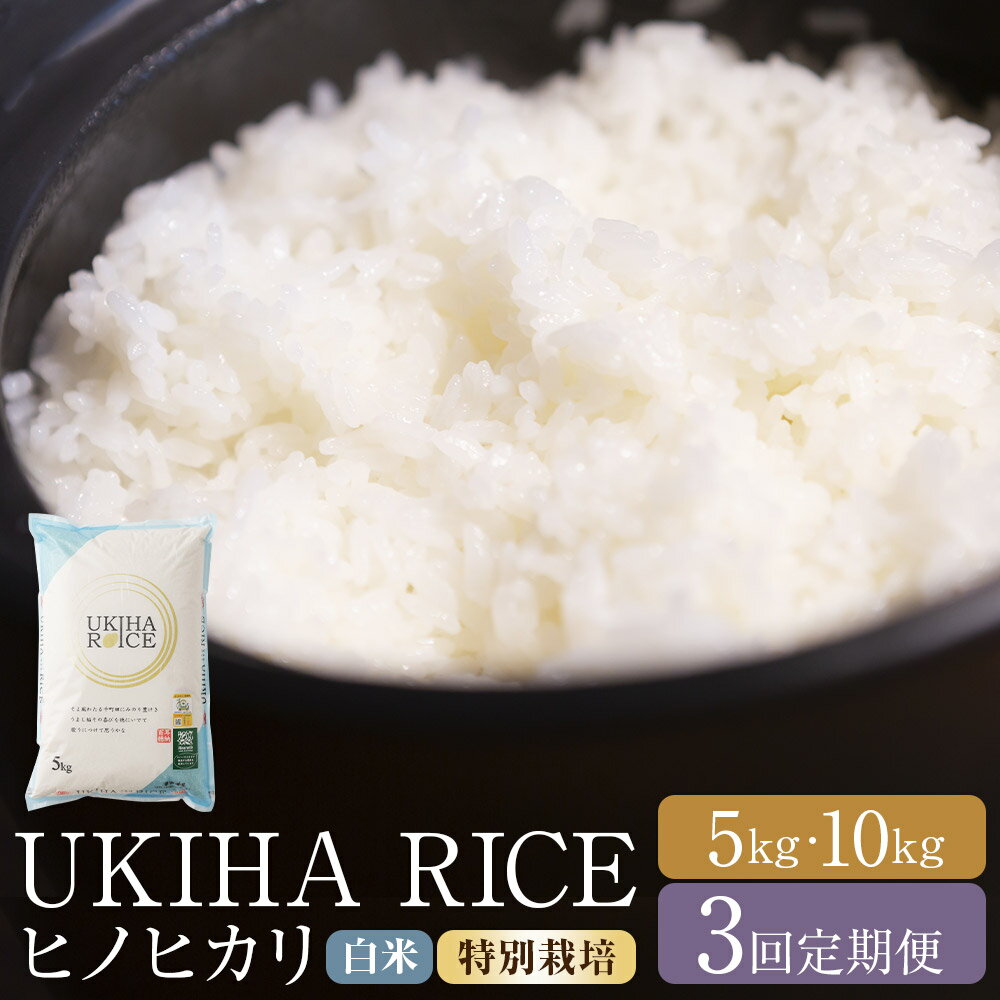 【ふるさと納税】＜選べる内容量＞【3ヶ月定期便】みずほファーム UKIHA RICE 白米（特別栽培米） ヒノヒカリ 1回あたり5kg / 計10kg（5kg×2袋） 1ヶ月毎 3回 お米 こめ 精米 単一原料米 ごはん ご飯 福岡県産 国産 福岡県 うきは市 送料無料