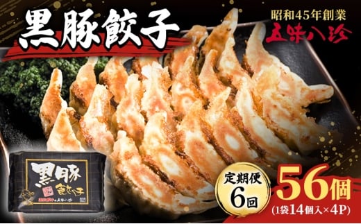 【定期便6回】 黒豚餃子56個（1袋14個入×4パック） 五味八珍 餃子 ぎょうざ ギョウザ 黒豚 ジューシー 柔らかい 肉の旨み ニンニク 浜松餃子 冷凍餃子 冷凍 惣菜 中華 点心 静岡県 浜松市 [№5360-0838]