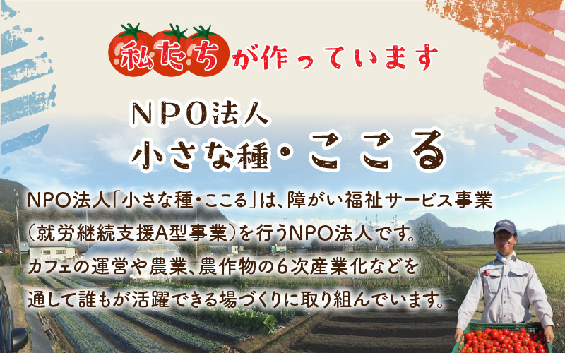 絶品！野菜のコクとうまみ 越のルビーのトマトカレー（レトルト） 210g × 5袋