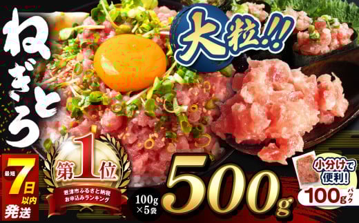 【 最短 1週間発送 】　ねぎとろ 500g（100g×5袋） | 清幸丸水産 大人気 手巻き寿司 海鮮丼 マグロのユッケ まぐろ 海鮮 小分け 100g パック 千葉県 君津市