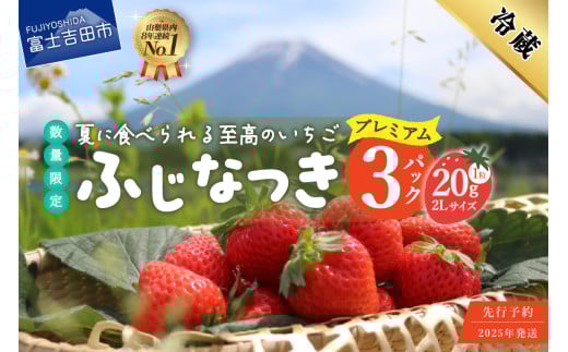 【期間限定】【数量限定！夏いちご】夏に食べられる至高のいちご ふじなつき(プレミアムセット) 数量限定 期間限定 フルーツ いちご 果物 旬 2025年 ふじなつき 山梨 富士吉田