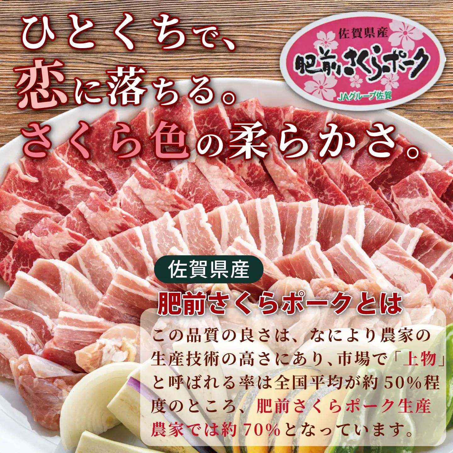 肥前さくらポーク 食べ比べセット：B340-006