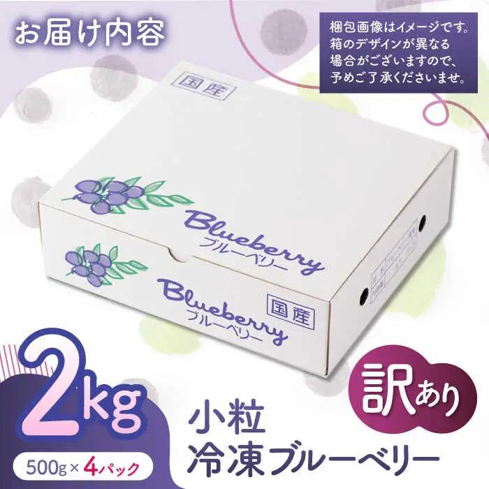 【訳あり】 冷凍ブルーベリー 小粒 約2kg（約500g×4pc） 【すみれファーム】[ZEP047]