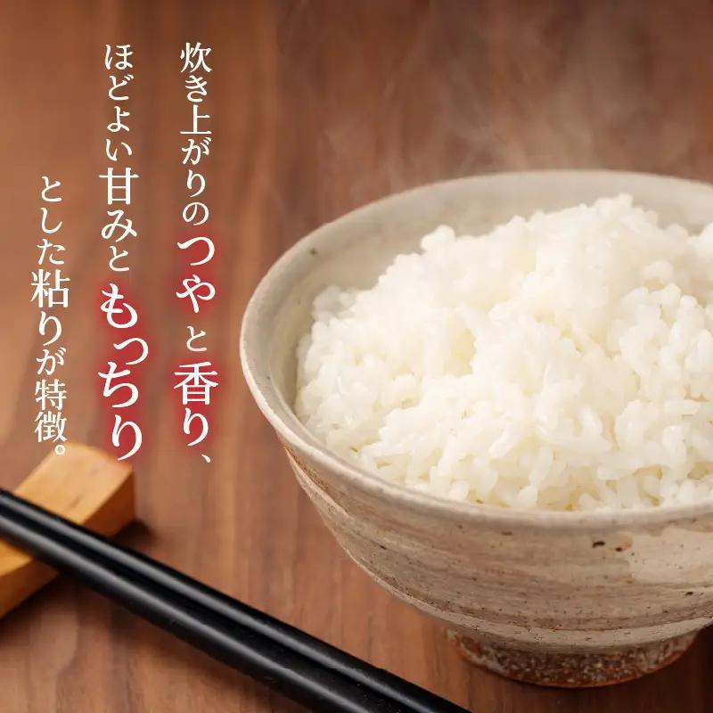 コシヒカリ 4kg 精米 コシヒカリ