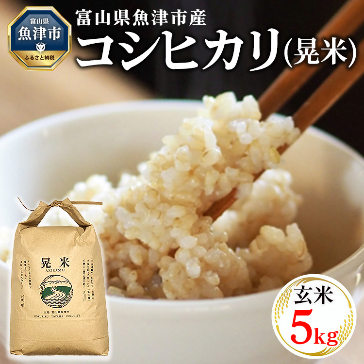 【令和8年度米】【農家直送】環境配慮「魚津のコシヒカリ（晃米）」5kg（玄米） ※2026年10月～発送