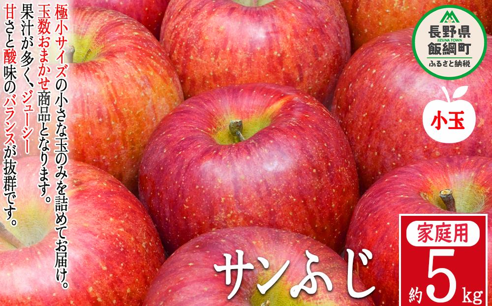 
りんご 農家応援企画 サンふじ 家庭用 5kg （ 小玉 ） ※沖縄および離島への配送不可 長野県 飯綱町 [0949]
