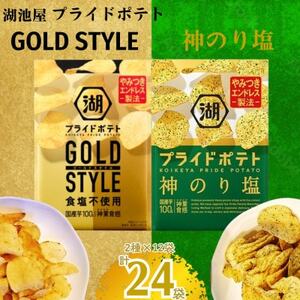 湖池屋　GOLD STYLE極みだし＆神のり塩 24袋セット【1623754】