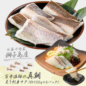 獅子島産 百年漁師の真鯛 炙り刺身サク (約100g×6パック) 【島のごちそう】gochi-1330