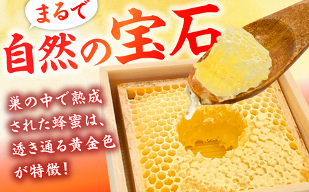 【50個限定/訳あり】国産巣みつ 約270-300g未満 / はちみつ 蜂蜜 スイーツ デザート [AFAI039]