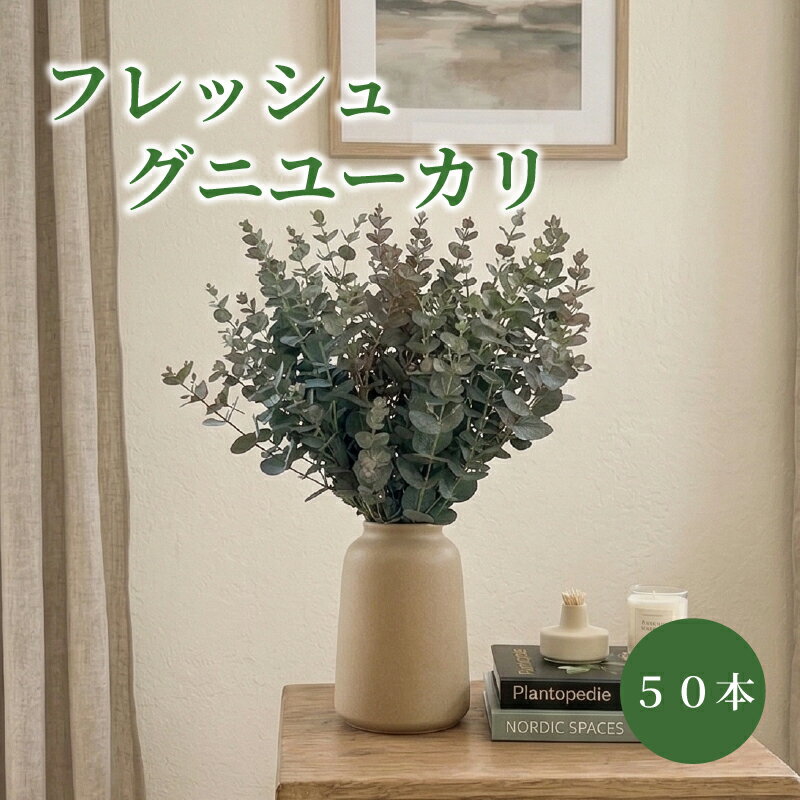 【ふるさと納税】 フレッシュ グニユーカリ / 約30cm 約50本 | 【2026年9月上旬頃より順次発送予定】 ユーカリ スワッグ リース フラワーアレンジメント インテリアグリーン ドライフラワー 花材 ゆーかり 生葉 壁掛け インテリア ナチュラル グニユーカリ 愛媛県 松山市