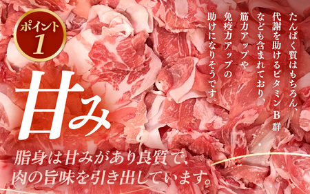 定期便 ≪3ヶ月連続お届け≫「福井県ブランド豚」ふくいポーク 切り落とし 1kg（500g × 2P）× 3回（計3kg）【銘柄豚 福井県産 ポーク 豚肉 ぶたにく 使い勝手抜群 ぶた丼 豚汁 生姜焼
