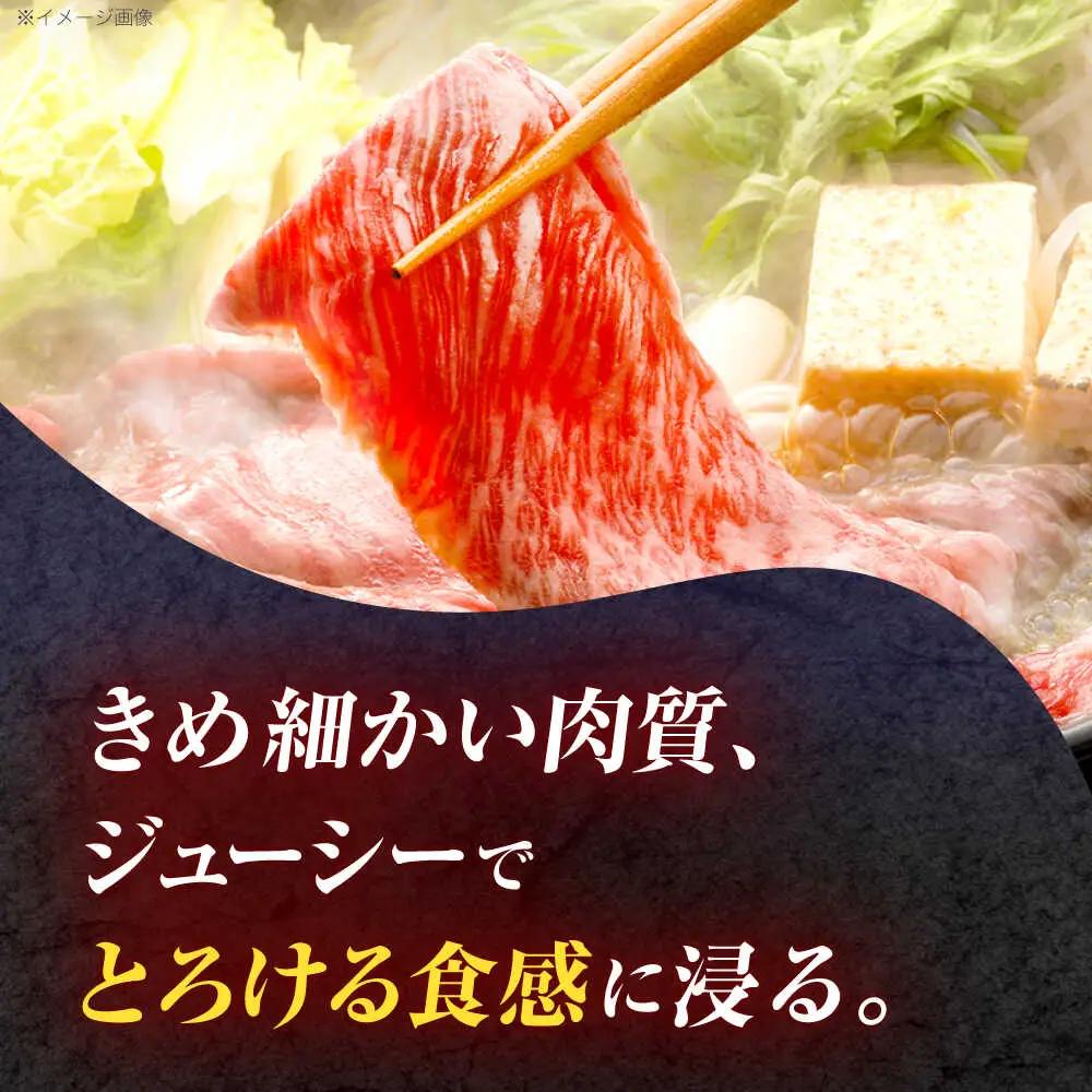 【12回定期便】牛肉スライス リブロース スライス 約1kg(500g×2) [OCE058]
