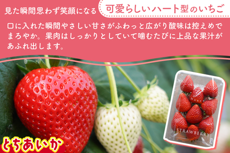 【2026年1月発送開始】【先行予約】ハート型のご褒美いちご とちあいか 合計1kg (250ｇ×4パック) | 栃木県 ふるさと納税 いちご イチゴ 苺 果物 フルーツ とちあいか 熟成 ご褒美 ハ