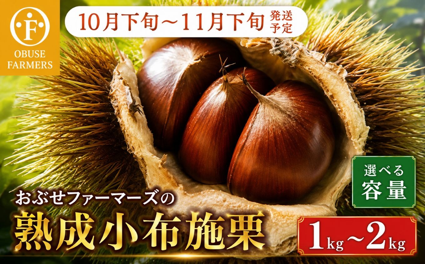 
                   熟成小布施栗 約1kg 約2kg 選べる内容量 ［おぶせファーマーズ］ 果物 フルーツ 生栗 くり 長野県産 信州産 令和8年産 【2026年10月下旬～11月下旬発送】
                