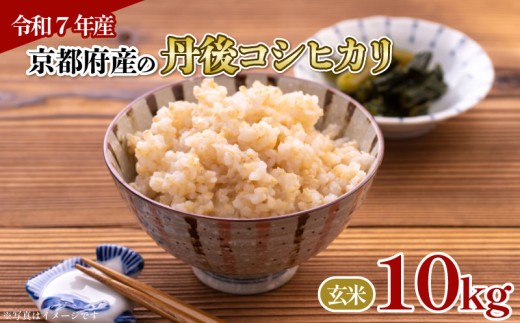 【令和7年産】京都府産 丹後コシヒカリ 玄米 10kg お米 10キロ 米 こめ 国産 ブランド米 取り寄せ 京都 ごはん コシヒカリ こしひかり 2025年度 JA JA京都 京都府産 京都府