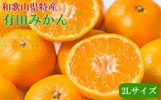 [秀品]和歌山有田みかん約6kg(2Lサイズ)★2026年11月中旬頃より順次発送［TM84］