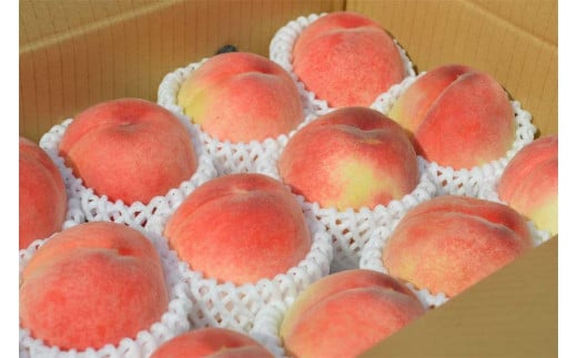 訳あり桃 約4kg 12～18玉入り 和歌山県産日川、白鳳、清水白鳳、川中島等