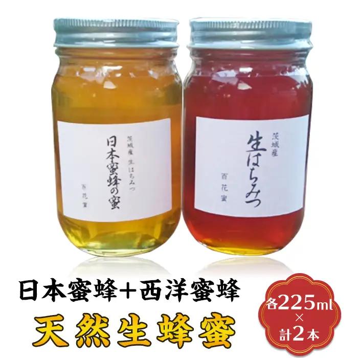 蜂蜜 2本 日本蜜蜂+西洋蜜蜂 8月ごろ発送 はちみつ 生蜂蜜