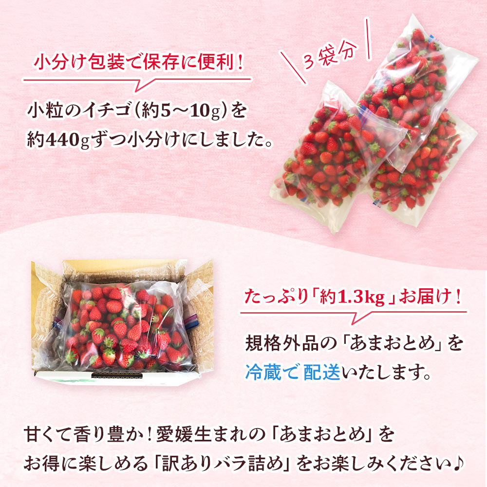 ＜訳あり いちご あまおとめ 約1.3kg 小粒 加工用 冷蔵 規格外品＞ 国産 サイズ 小粒 詰め合わせ アマオトメ 訳あり 訳アリ フルーツ 果物 苺 いちご イチゴ シャーベット スムージー り