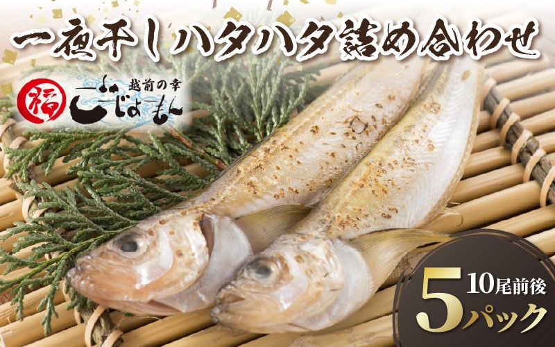 
                  越前産 魚 はたはた 一夜干しハタハタ詰合わせ 約200g入り (10尾前後) ×5パック [e15-a070]
                