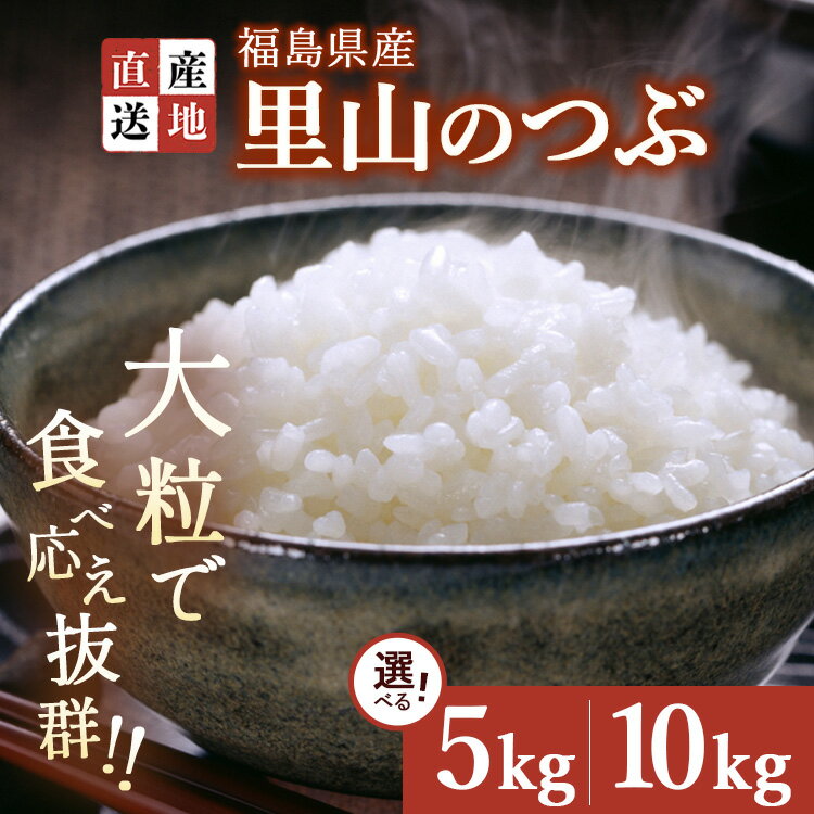 【ふるさと納税】【選べる容量】令和7年産 新米 里山のつぶ 5kg・10kg ｜ 白米 精米 生産者直送 産地直送 猪苗代産 はんざわエコファーム ※沖縄・離島への配送不可