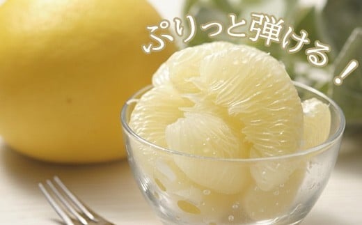 【先行予約受付】【R8年発送】 土佐文旦 L~4L 約5kg 訳あり フルーツ 柑橘 ぶんたん 特産品 高知県産 家庭用 果物 ジューシー 爽やか 酸味 甘み 芳香 2月 3月 4月 熟成 贈答用 ギ