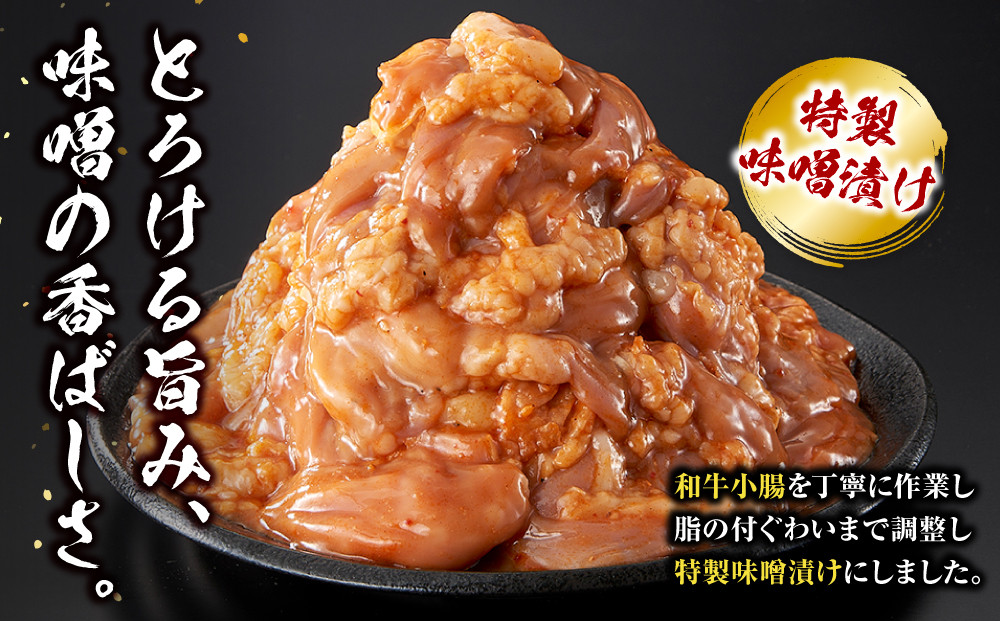 ＜訳アリ＞和牛トロホルモン　特製味噌漬け　1.2kg(300g×4）【2026年1月発送】