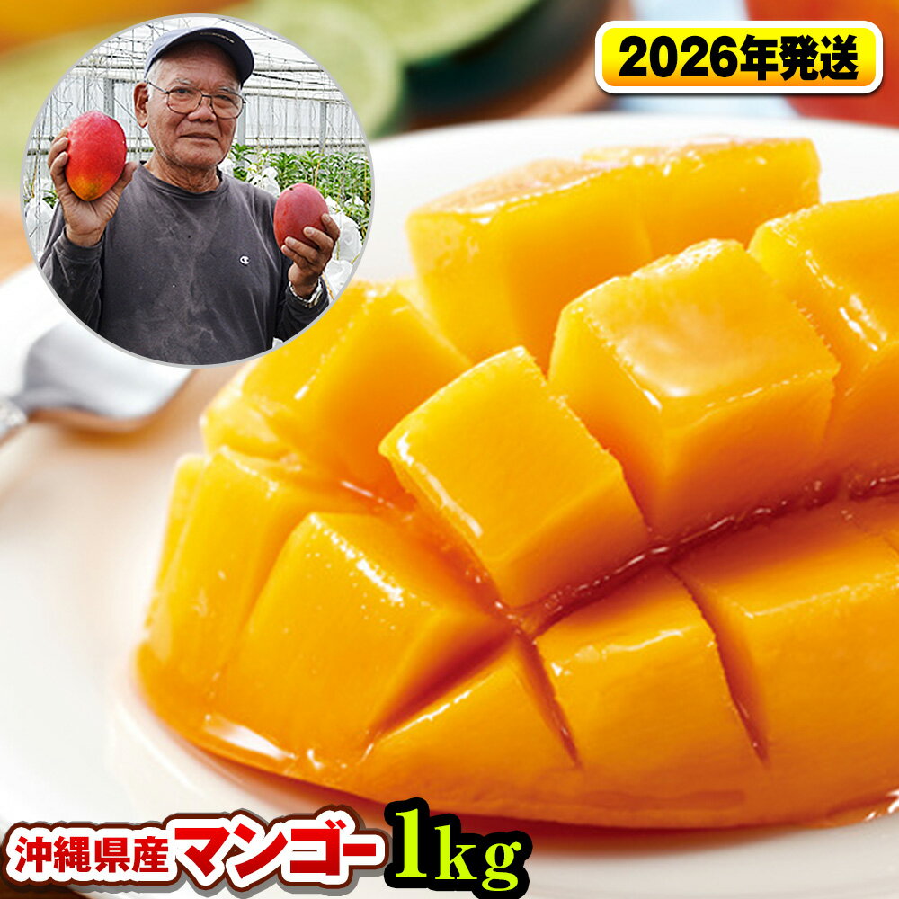 【ふるさと納税】【2026年発送】濃厚な甘さ！とろける食感！沖縄県産マンゴー1kg