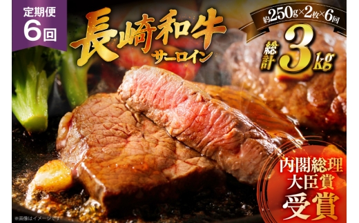 和牛 ステーキ 長崎和牛 サーロイン 250g 2枚 ソース付き 6回 定期便 計3kg [萩原食肉産業 長崎県 平戸市 hr42bgy410032] 肉 牛肉 焼肉 にく 平戸 希少 鉄板焼き