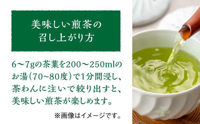 八女茶 煎茶 極・煎茶 誉・宝の翠 100g 3種詰合せ箱＜株式会社くしだ企画＞那珂川市 [GZL003]